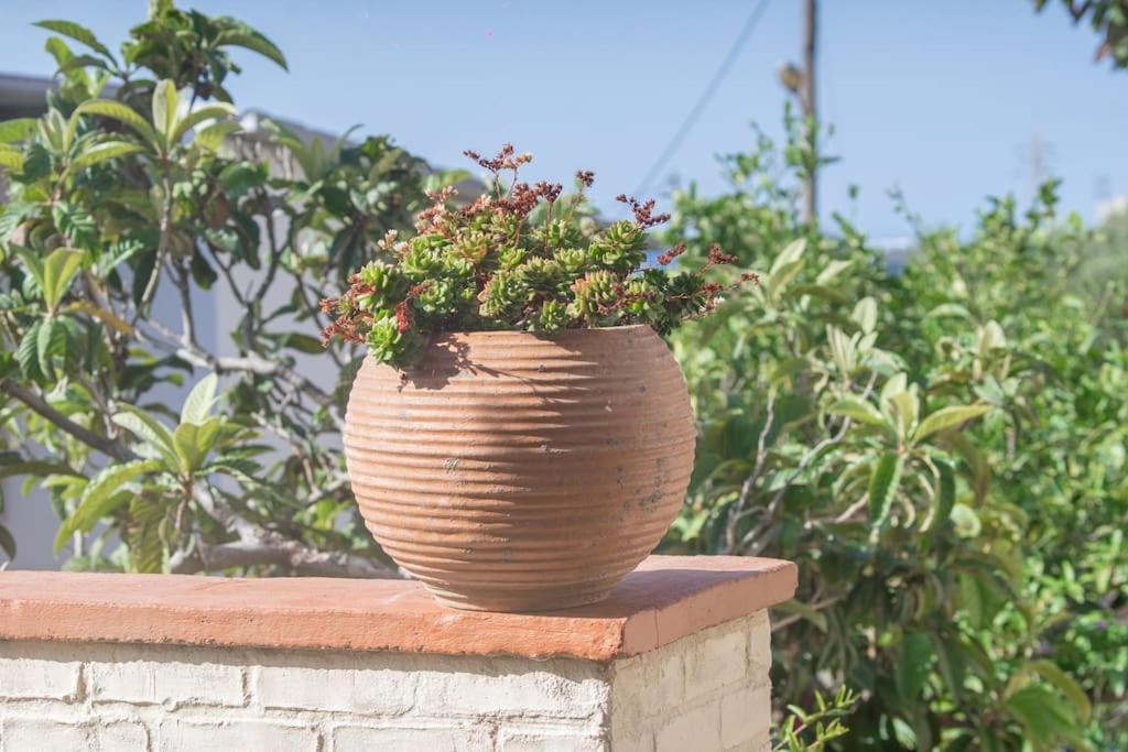 Mulberry Tree Villa Ágios Nikolaos Exterior foto