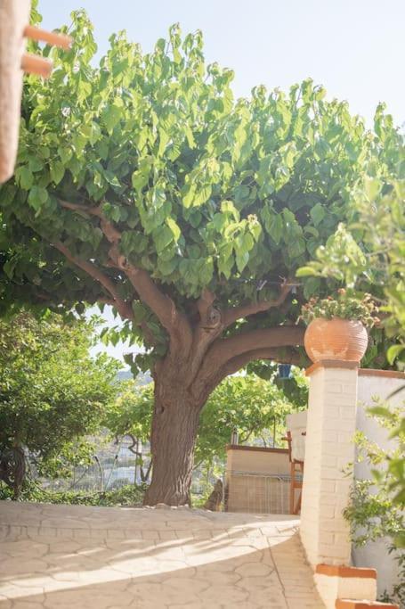 Mulberry Tree Villa Ágios Nikolaos Exterior foto