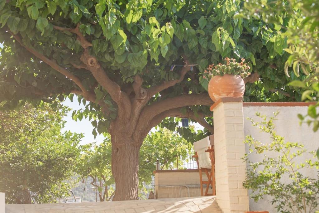 Mulberry Tree Villa Ágios Nikolaos Exterior foto