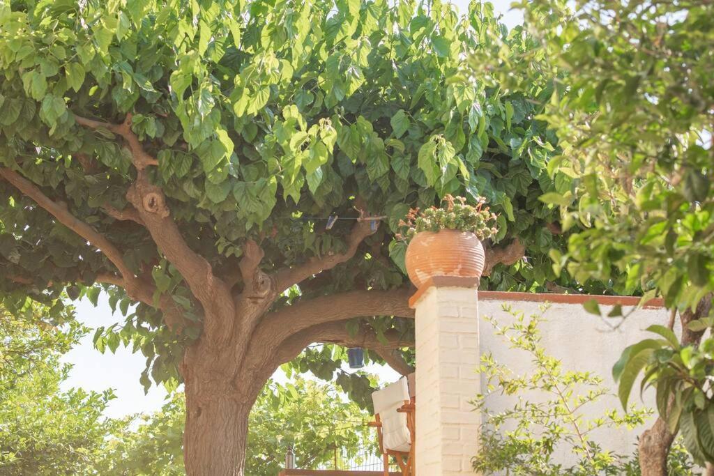 Mulberry Tree Villa Ágios Nikolaos Exterior foto